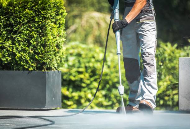 Professional Pressure Washing Services in Lake Isabella, CA